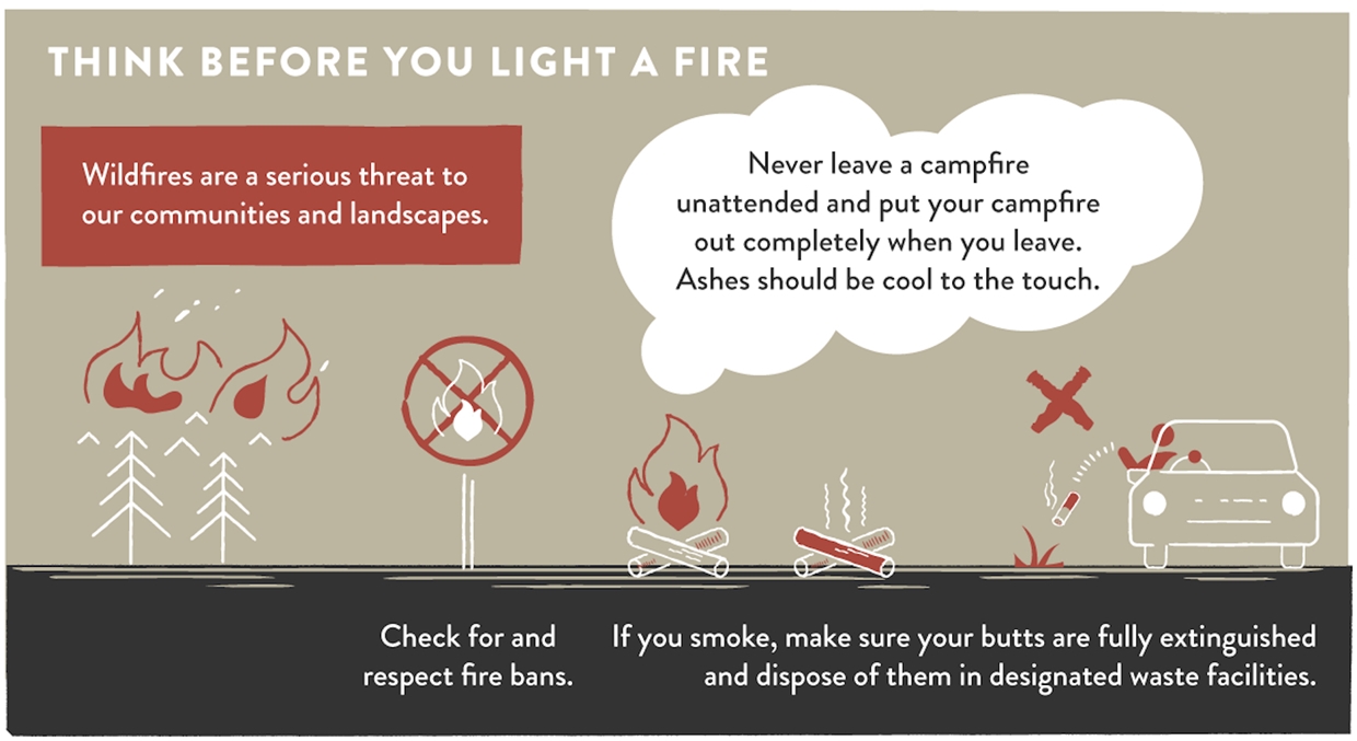 Prevent Wildfires