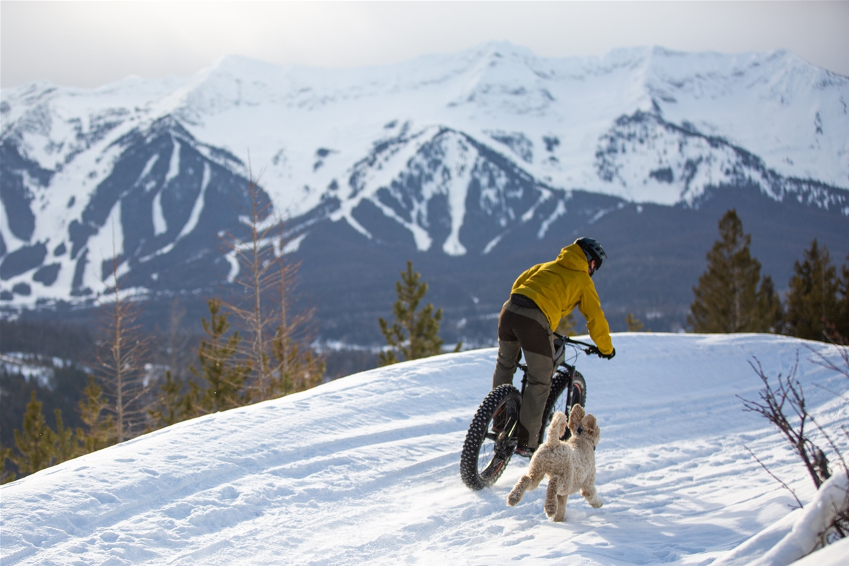 Winter Fatbiking on Contra with a dog in Fernie, BC
