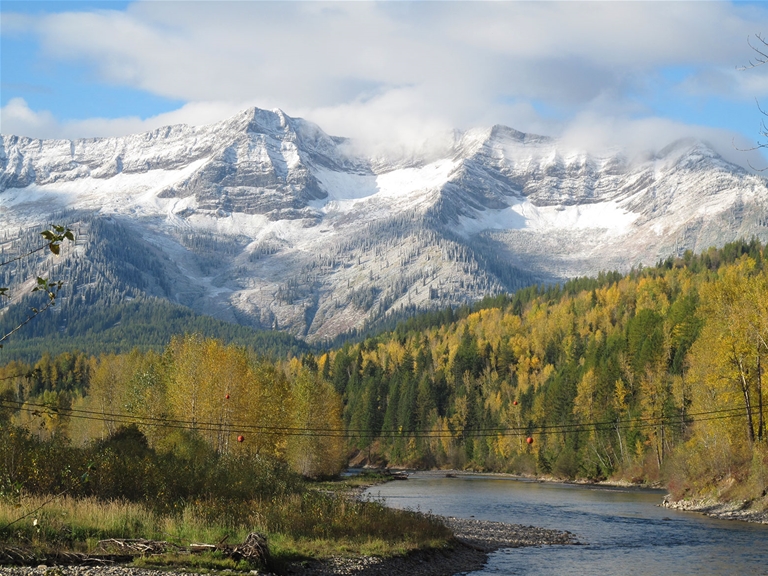 Fall colours surrounding the Elk River with early snow on the Lizard Range/Fernie Alpine Resort