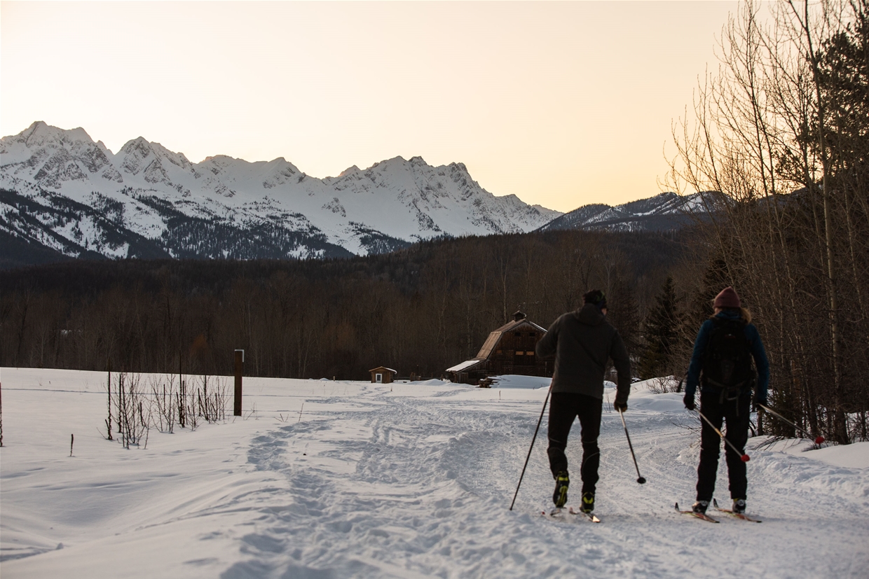Cross-country skiing in Montane