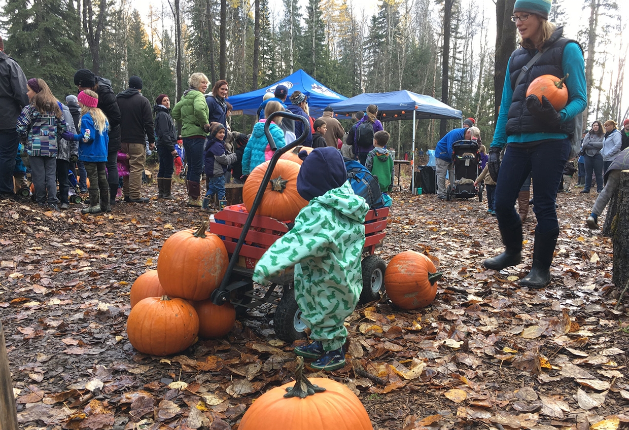 The Great Pumpkin Hunt by Fernie Nordic Society