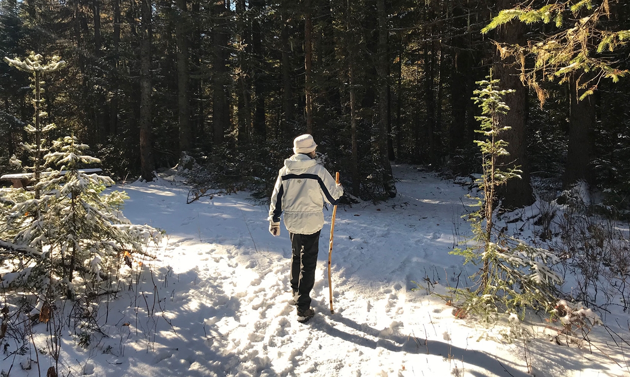 Winter walking at Mt Fernie Provincial Park