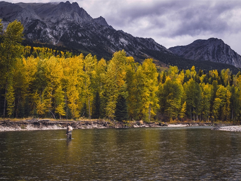 Vibrant fall days flyfishing on the Elk River - Mike Cotton