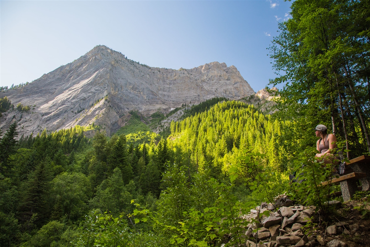 Mount Proctor / Fairy Creek