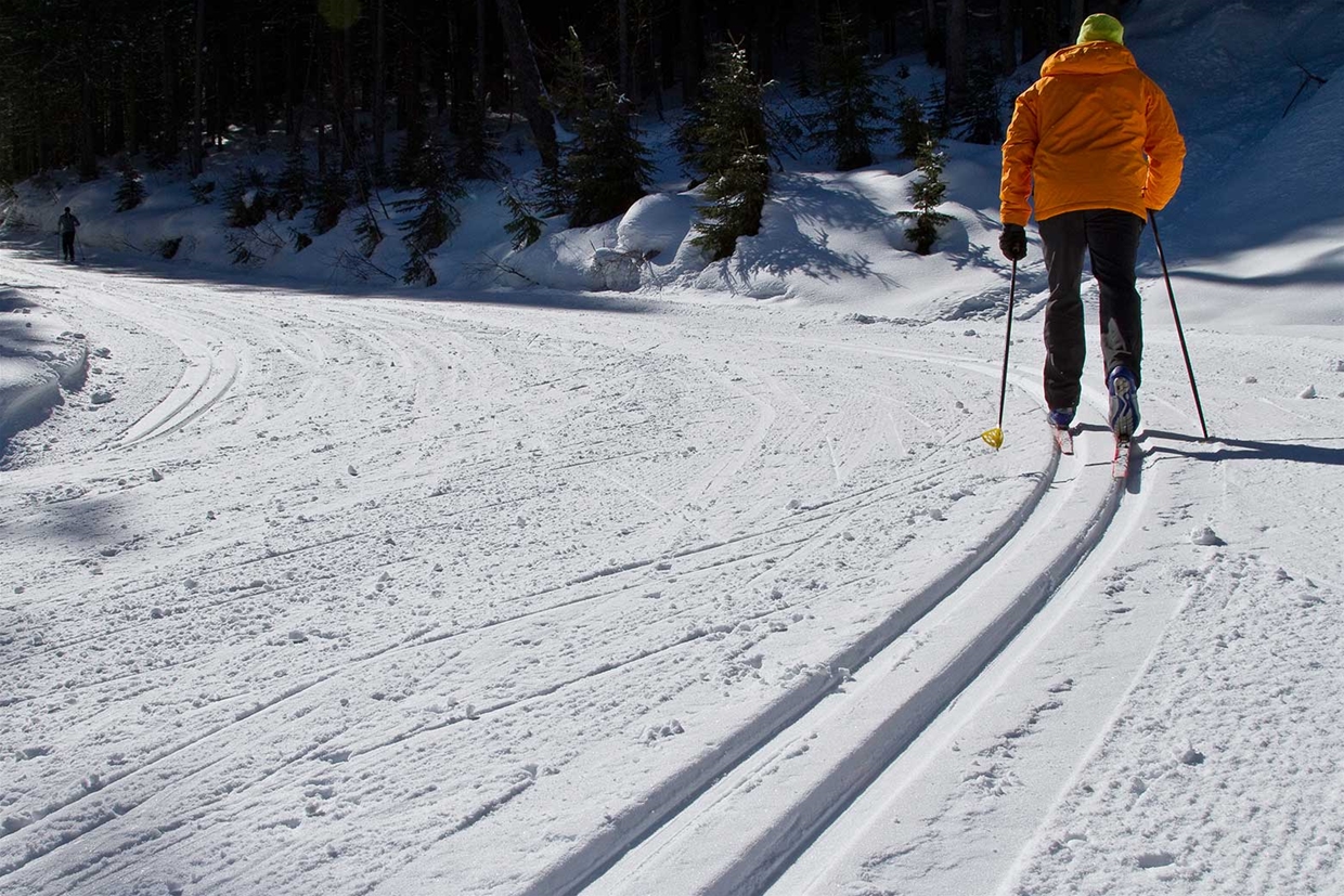 Nordic ski trail system at Fernie Alpine Resort