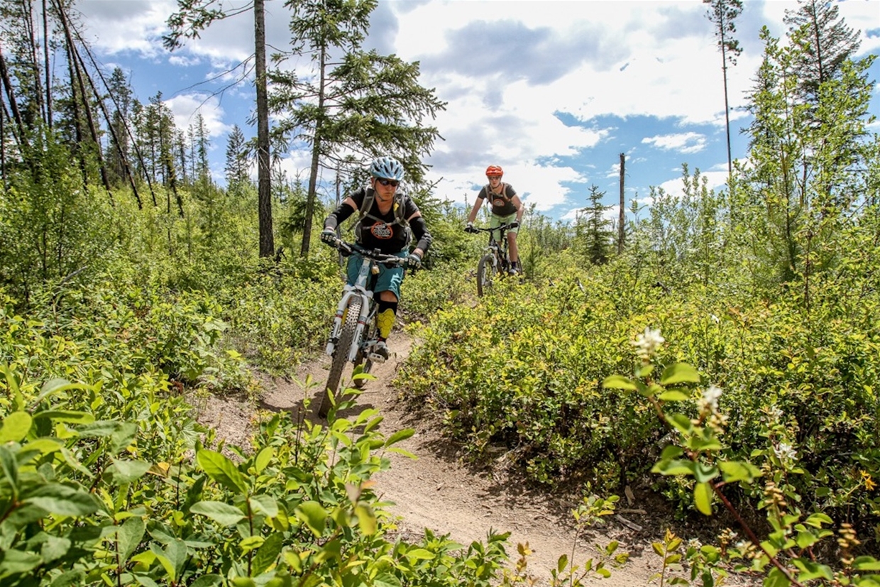 Fernie Bike Guides - Based out of The Guide's Hut