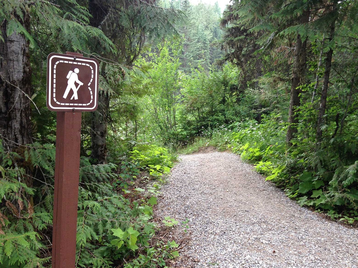 Hiking & biking trails in Mt Fernie Provincial Park