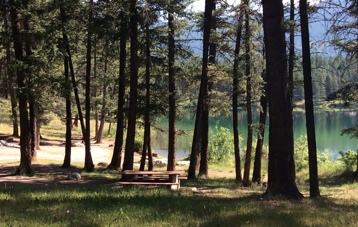 Loon Lake Forest Rec Site