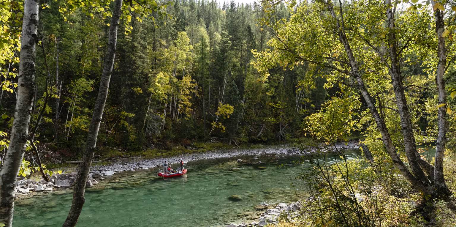 Featured content image