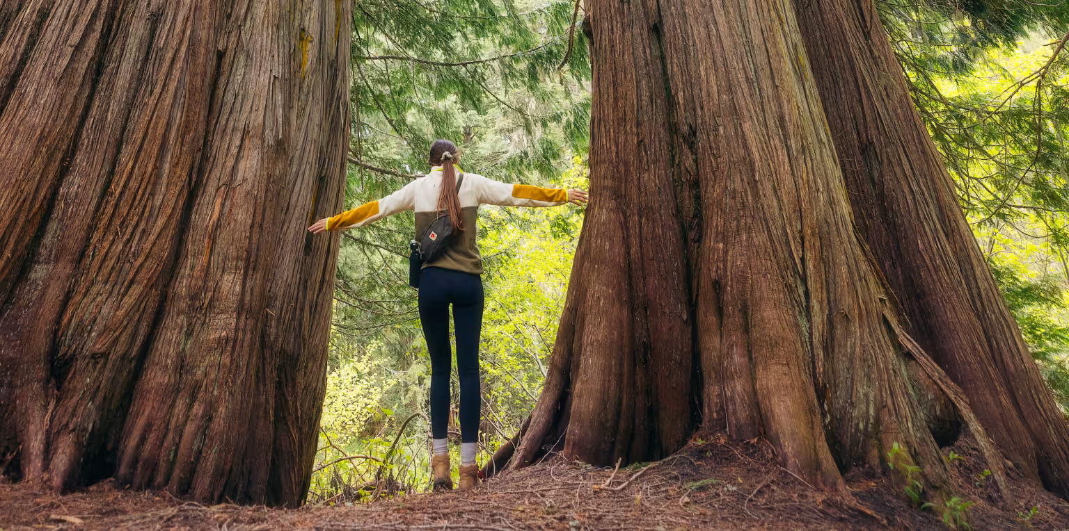 Featured content image