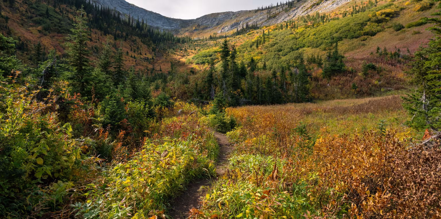 Mountainous landscape with lush greenery and autumnal foliage, cloudy sky.