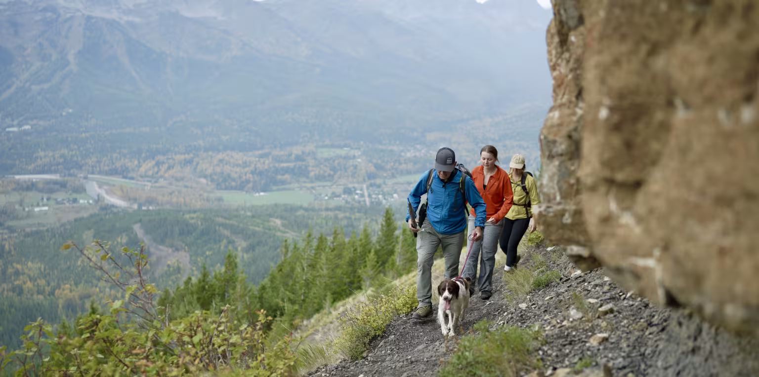 Three people and a dog hiking on a mountain trail.