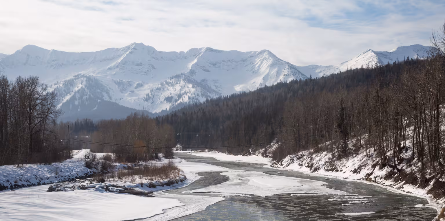 Featured content image