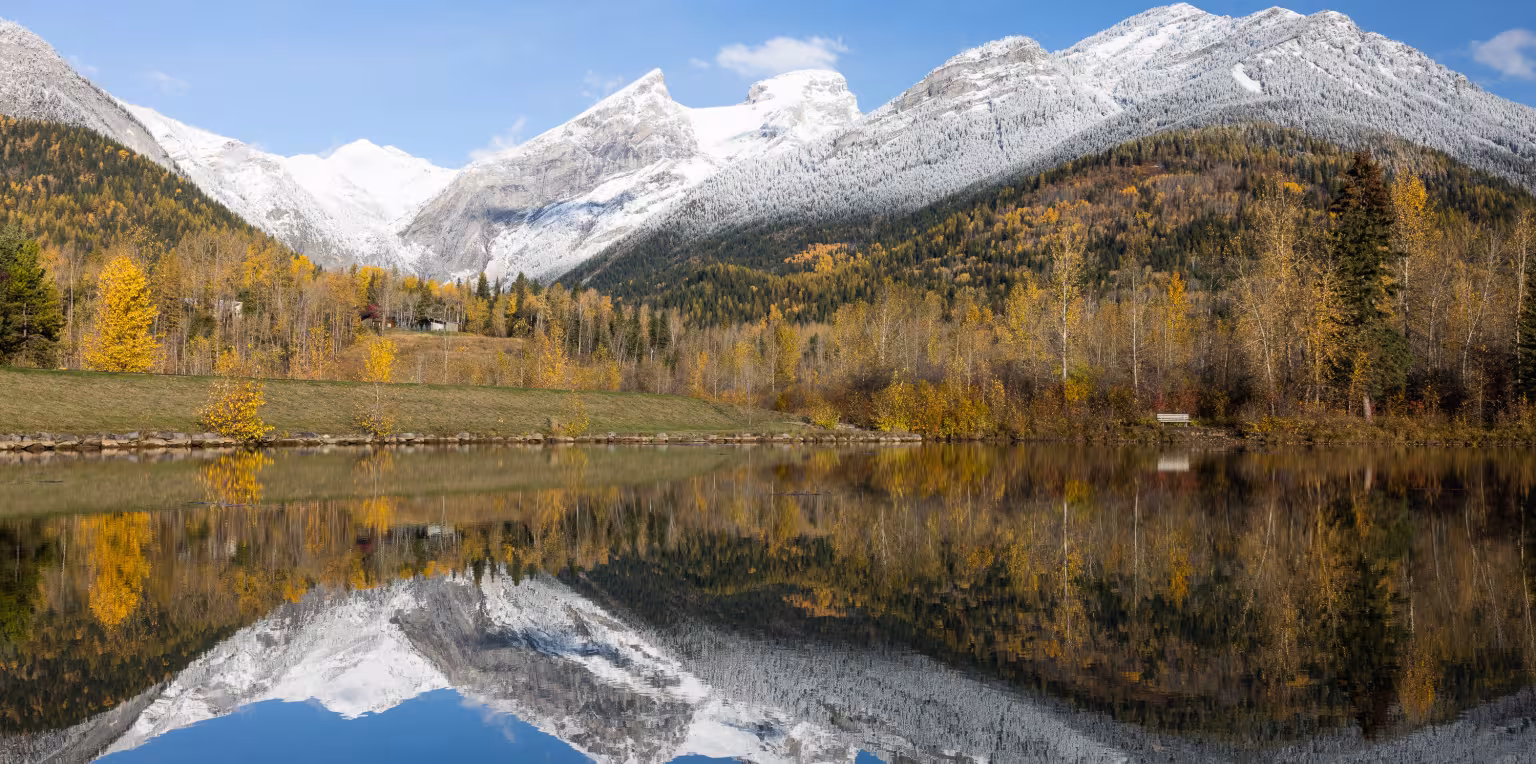 Featured content image