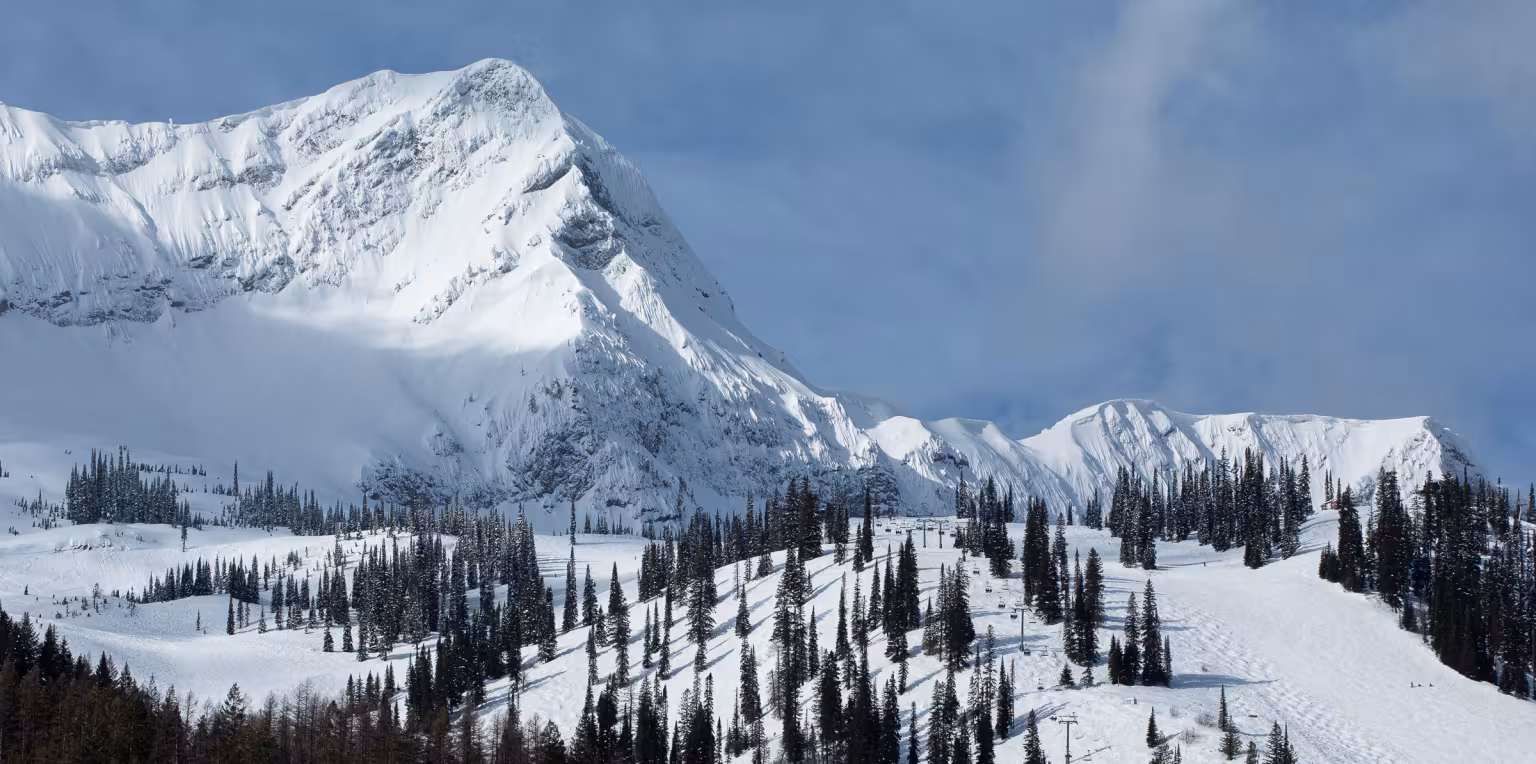 Featured content image