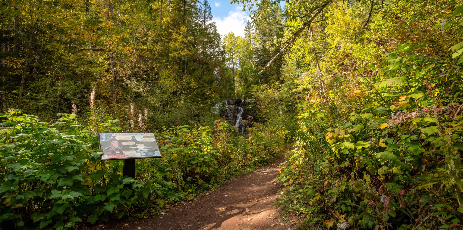 Dirt trail through dense greenery with a sign on the left; trees and blue sky visible.