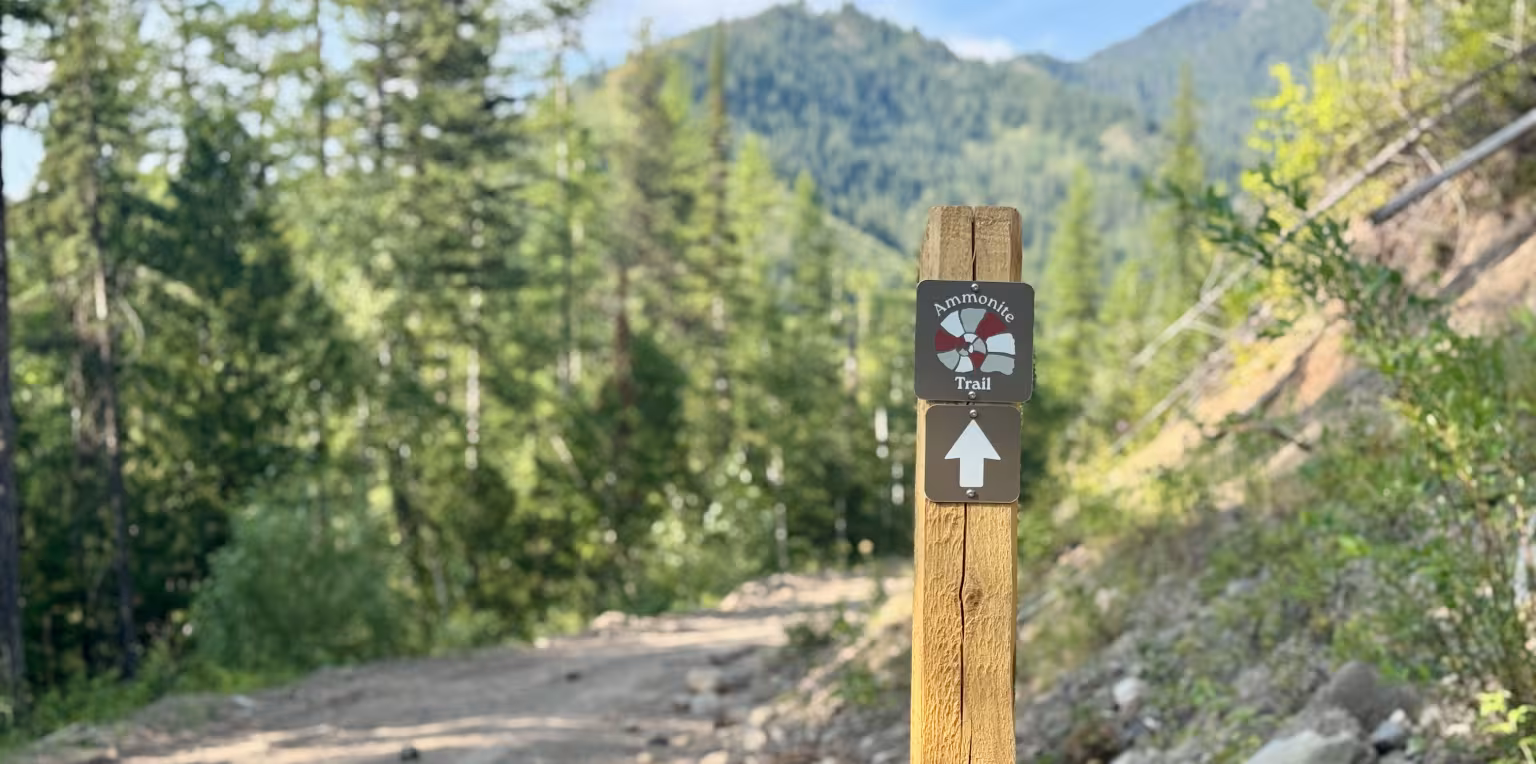 A wooden trail sign to the Fernie Ammonite with a white arrow pointing up, on a dirt path through a forest with mountains in the background.