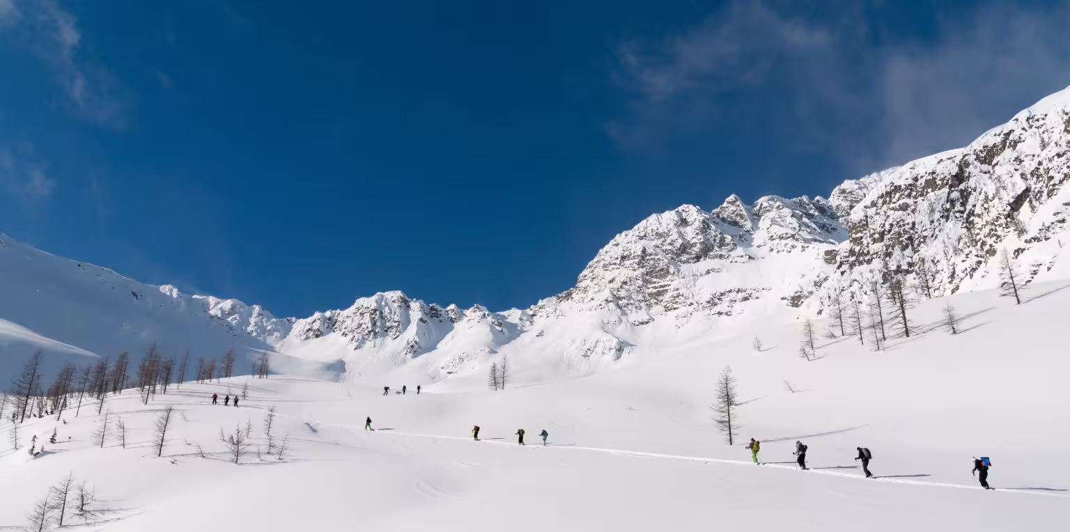 Featured content image