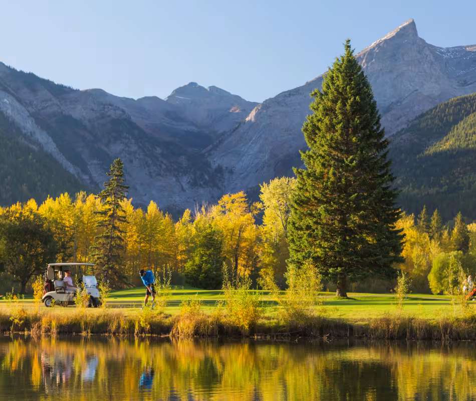 Image for Course Ratings