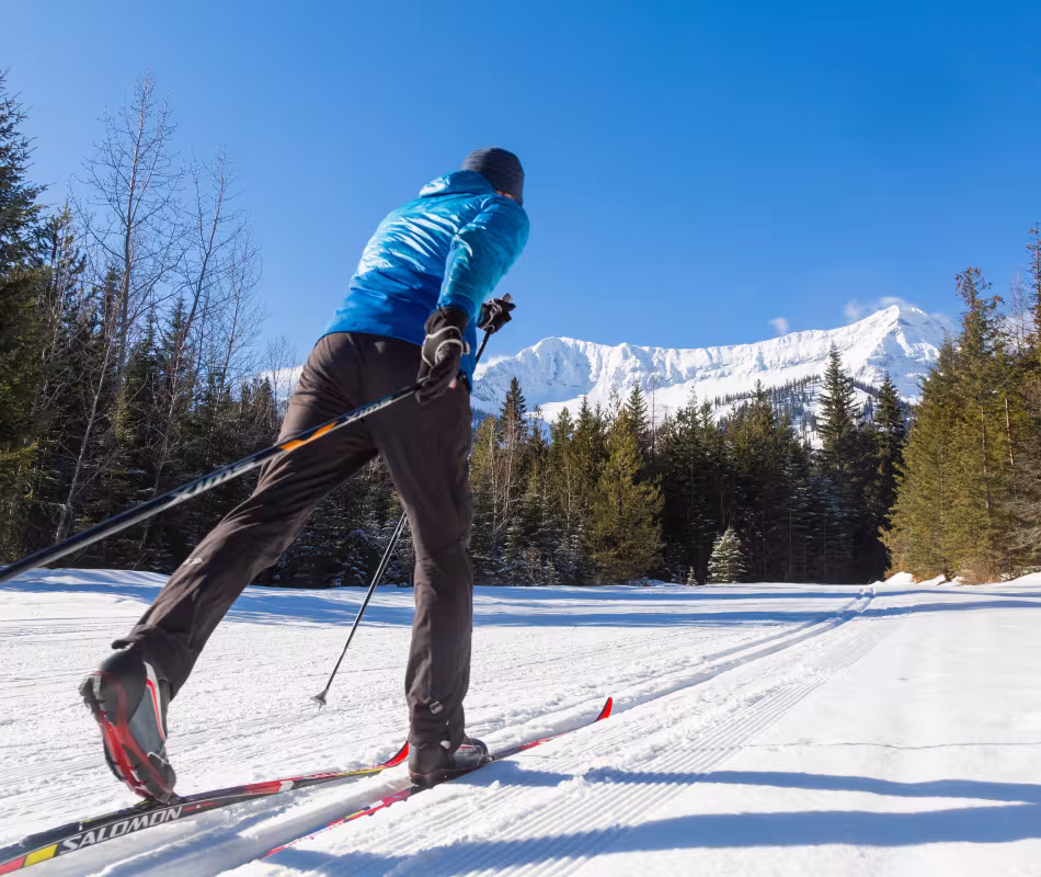 Image for Cross-country Skiing