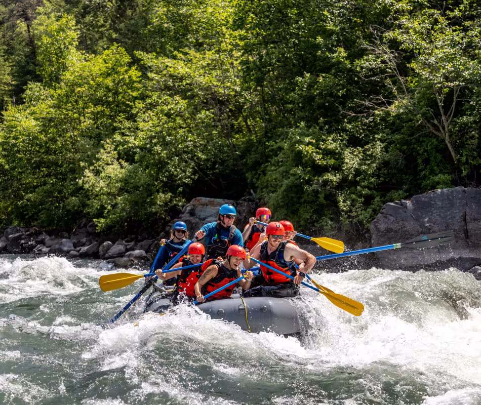 Image for Whitewater Rafting