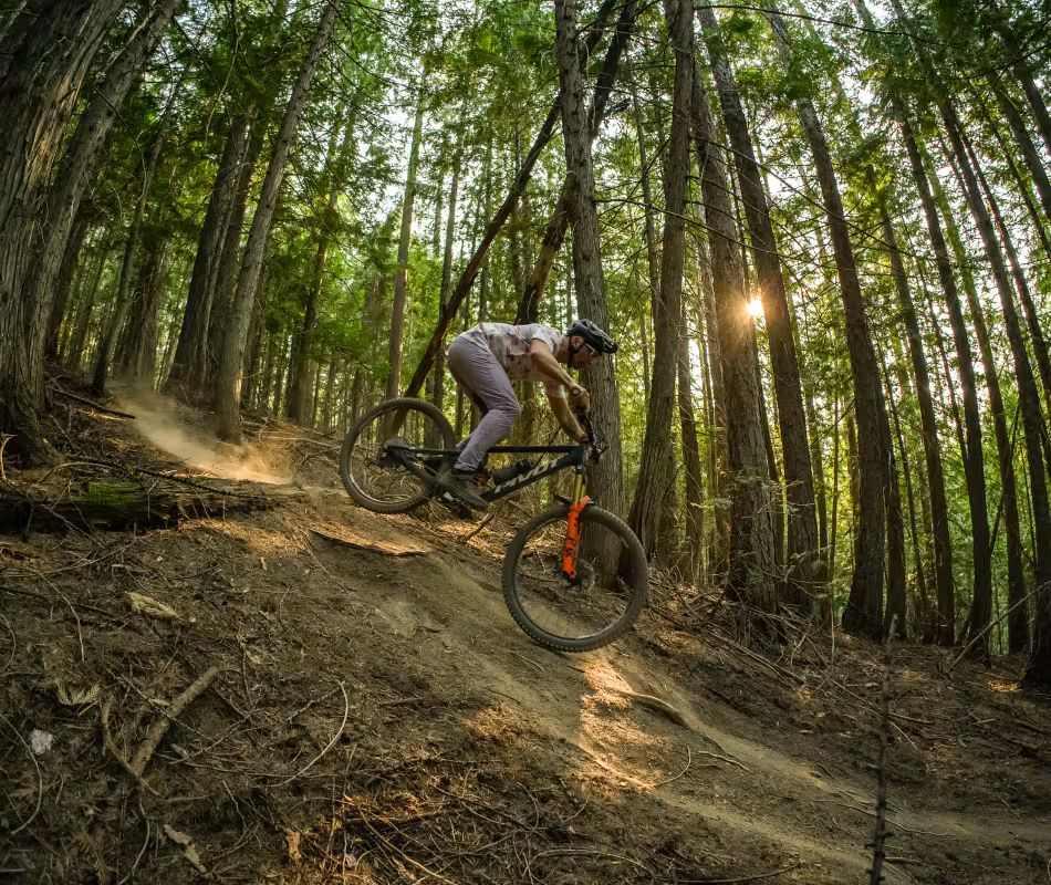 Image for Mountain Biking