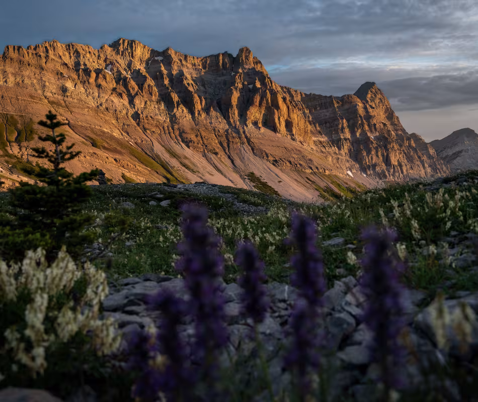 Image for Heiko's Trail