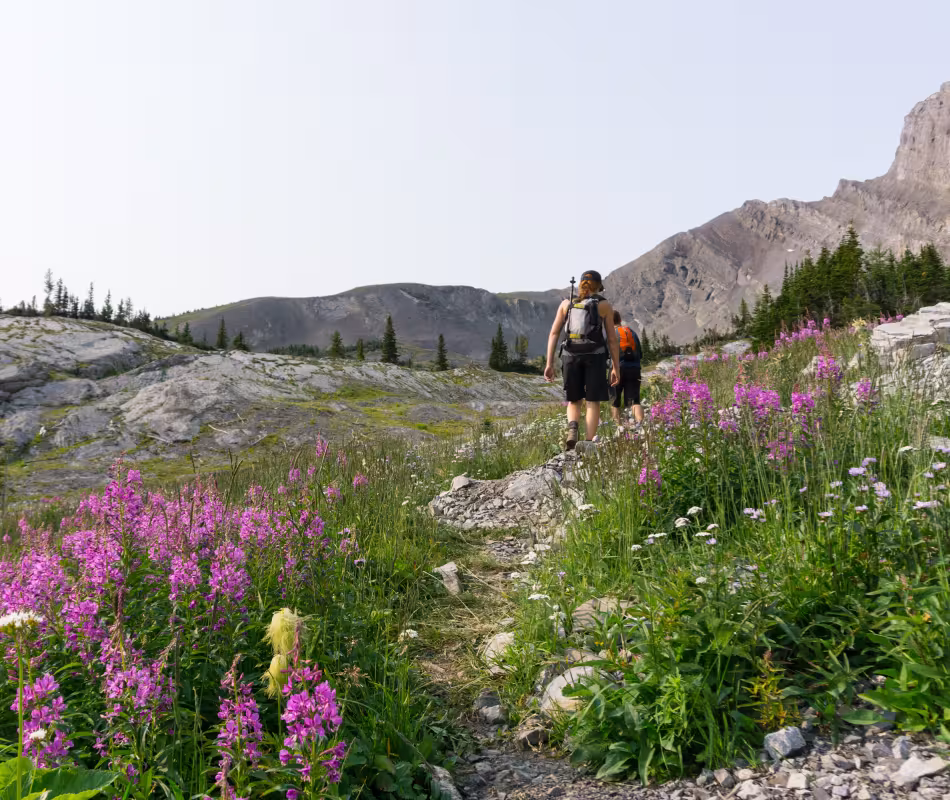 Featured image for Heiko's Temporary Trail Closure - July 14-15, 2026