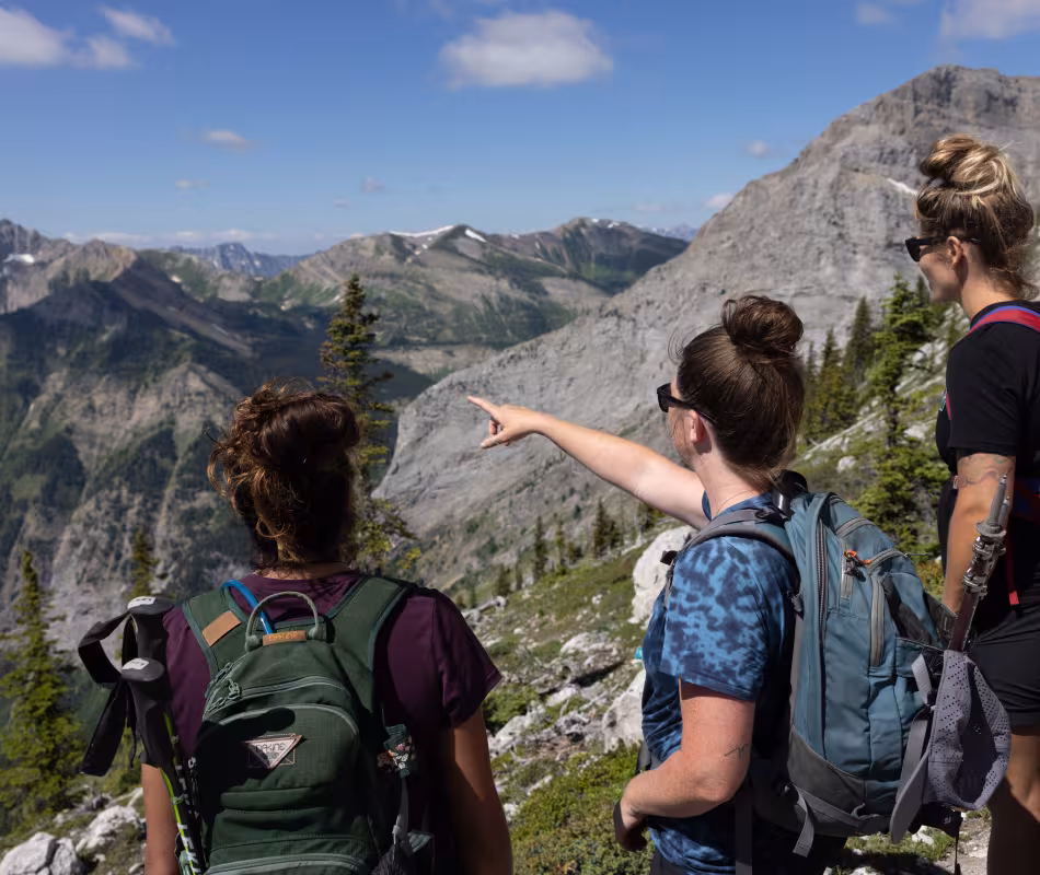 Image for Hiking & Nature Walks