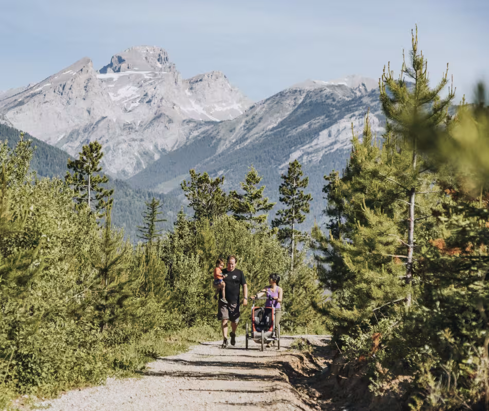 Image for Easy Beaver (Adaptive Trail)