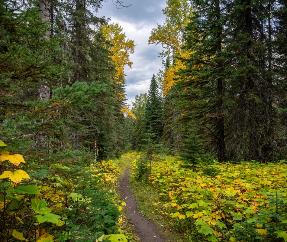 Image for Mt Fernie Provincial Park