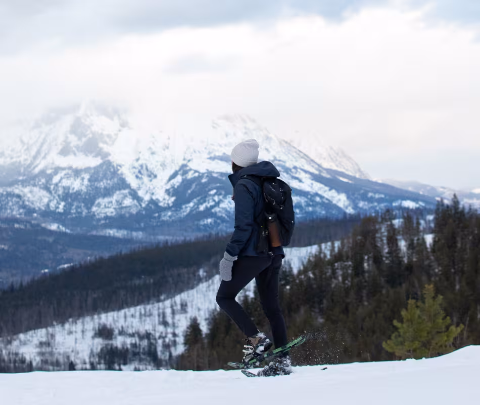 Image for Snowshoeing