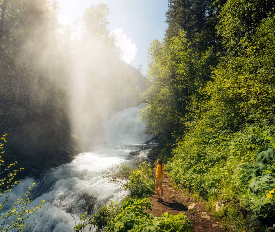 Image for Hiking & Nature Walks