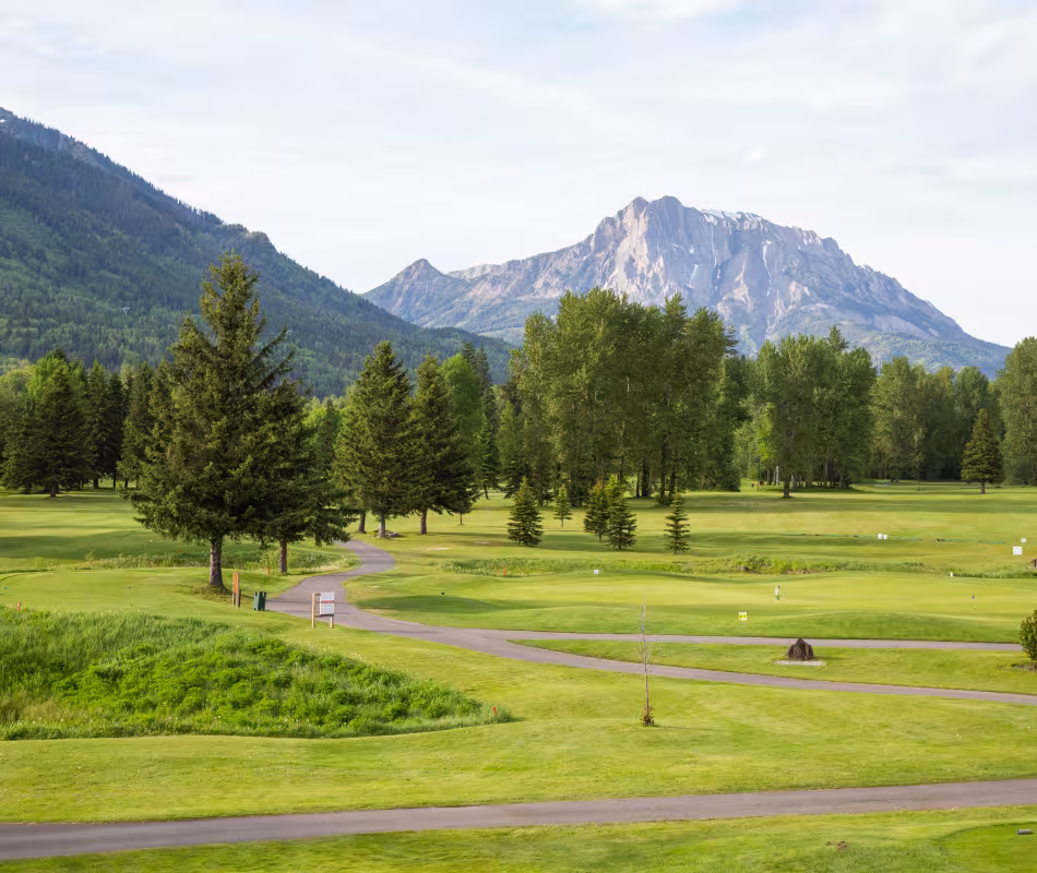 Event image for Ladies & Senior Ladies Golf League Closing