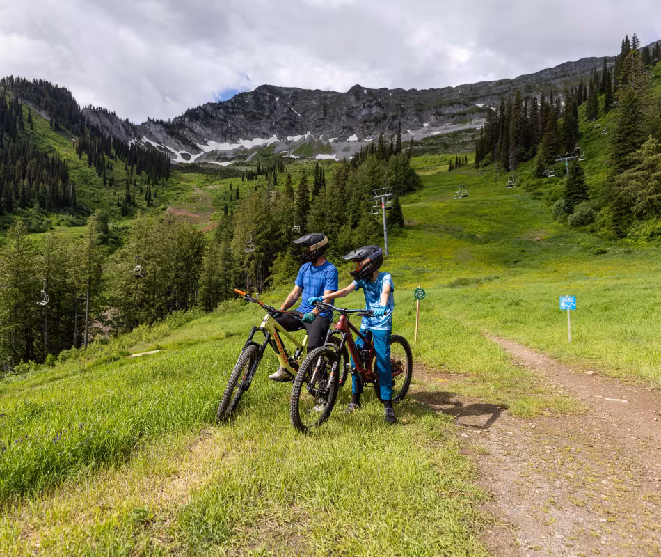 Image for Fernie Alpine Resort DH Bike Park