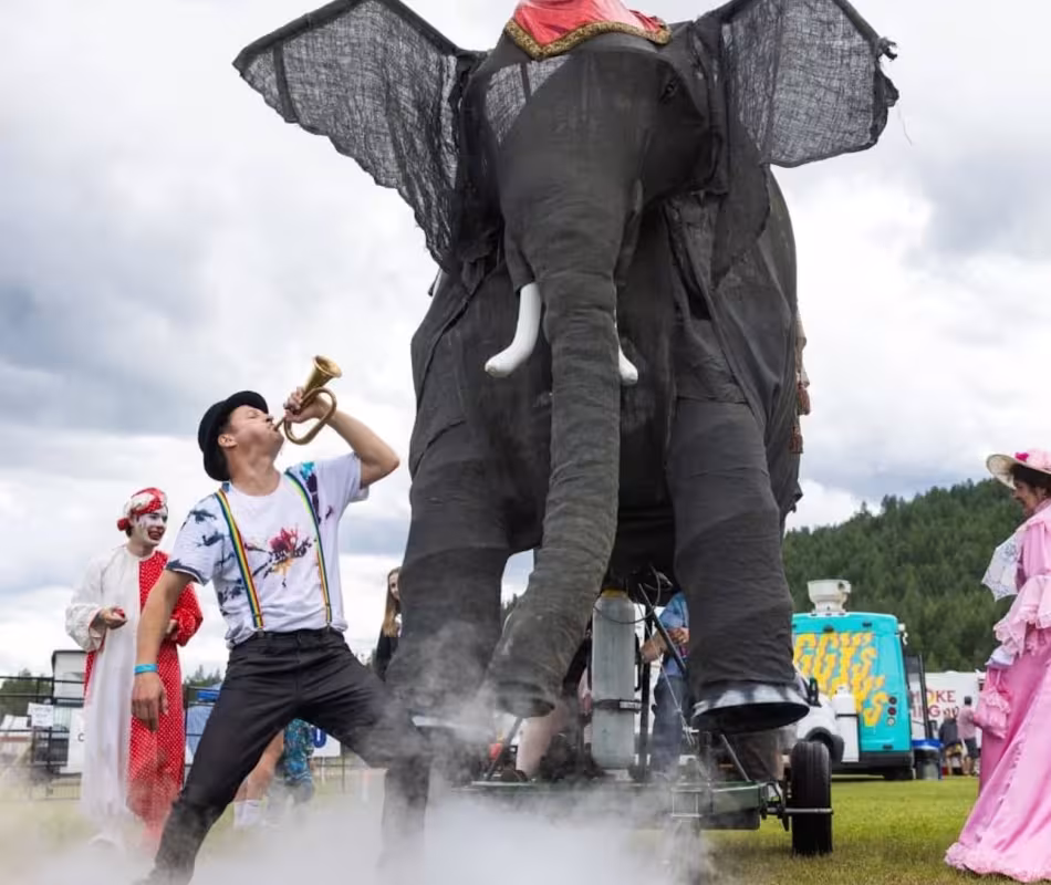 Fun Field Festival in Wardner