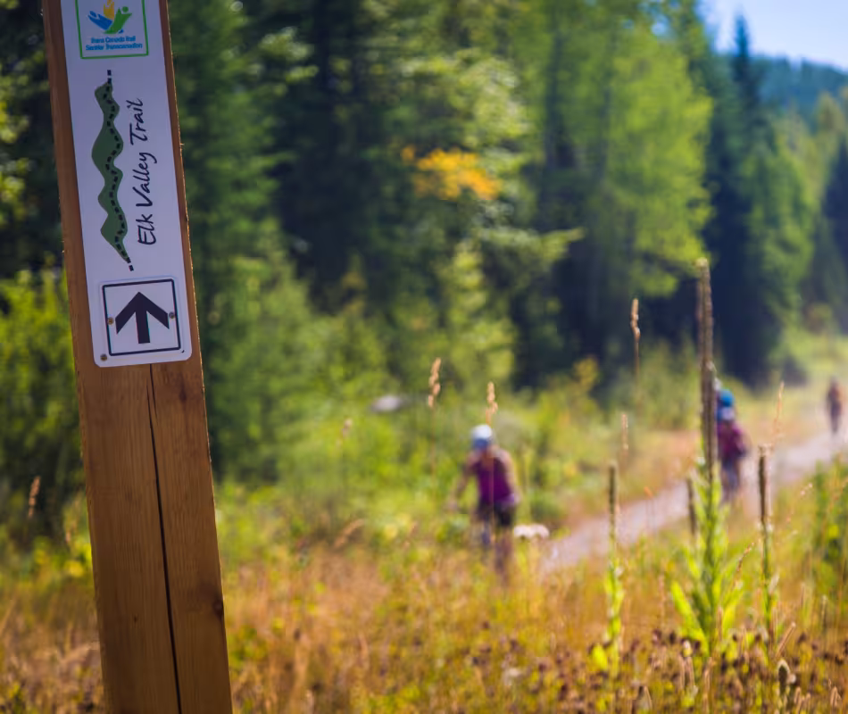 Image for Elk Valley Trail