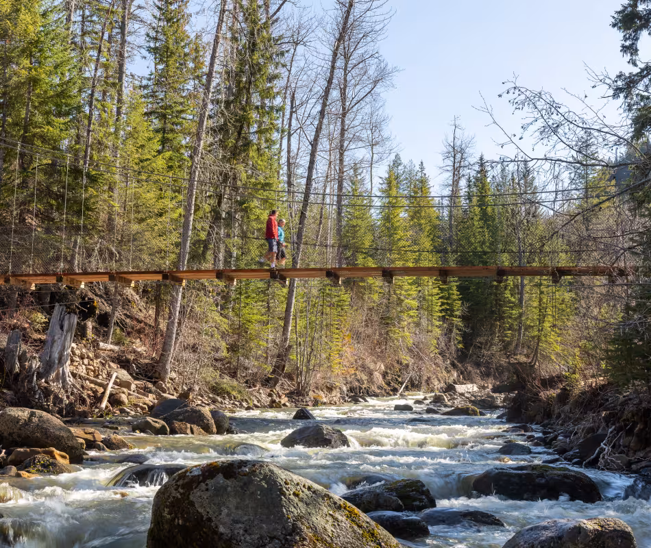 Image for Coal Creek Heritage Trail
