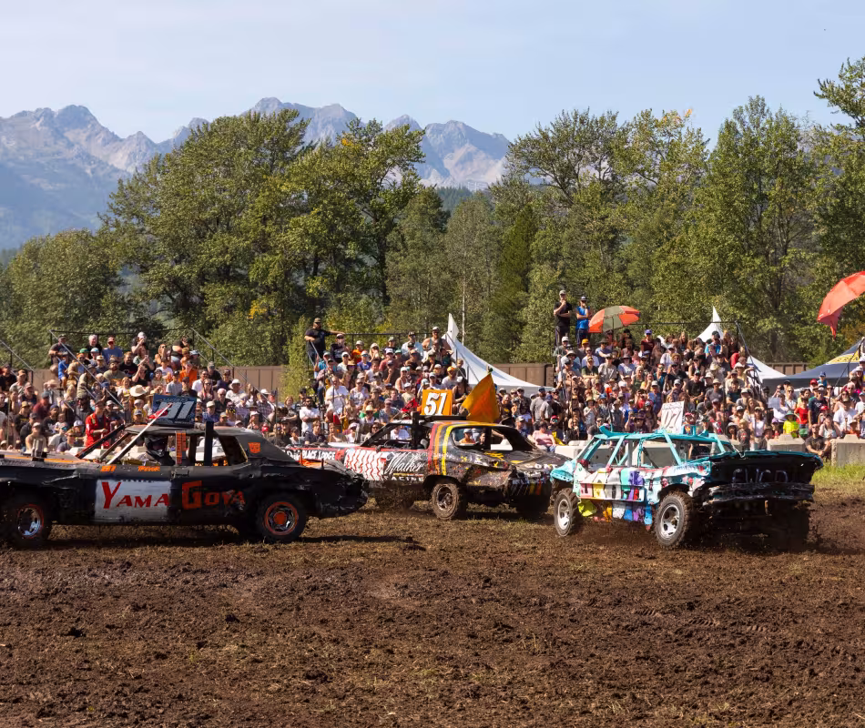 Event image for Fernie Lions Demolition Derby