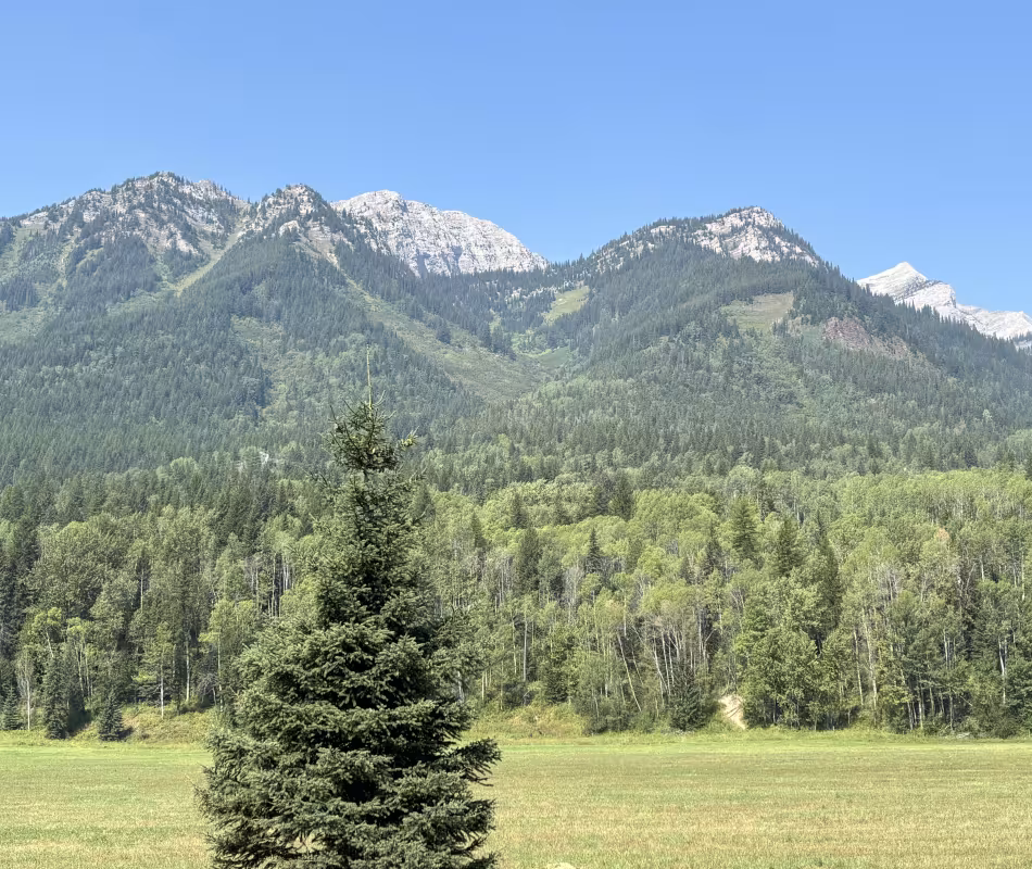 Featured image for Local Conditions & Air Quality Updates