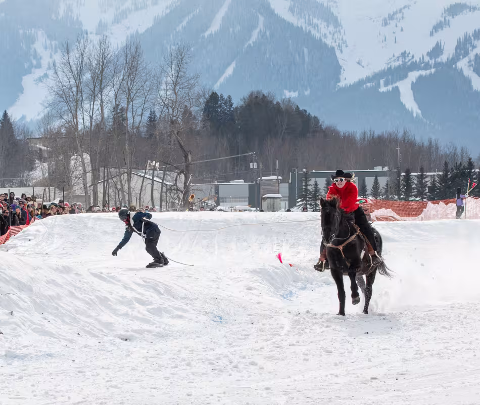 Event image for Ponies & Planks Skijoring Fundraiser 