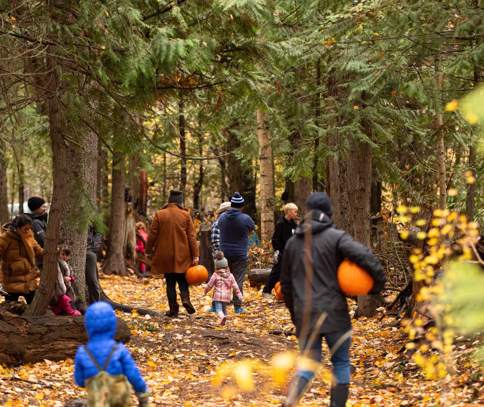 Event image for Great Pumpkin Hunt