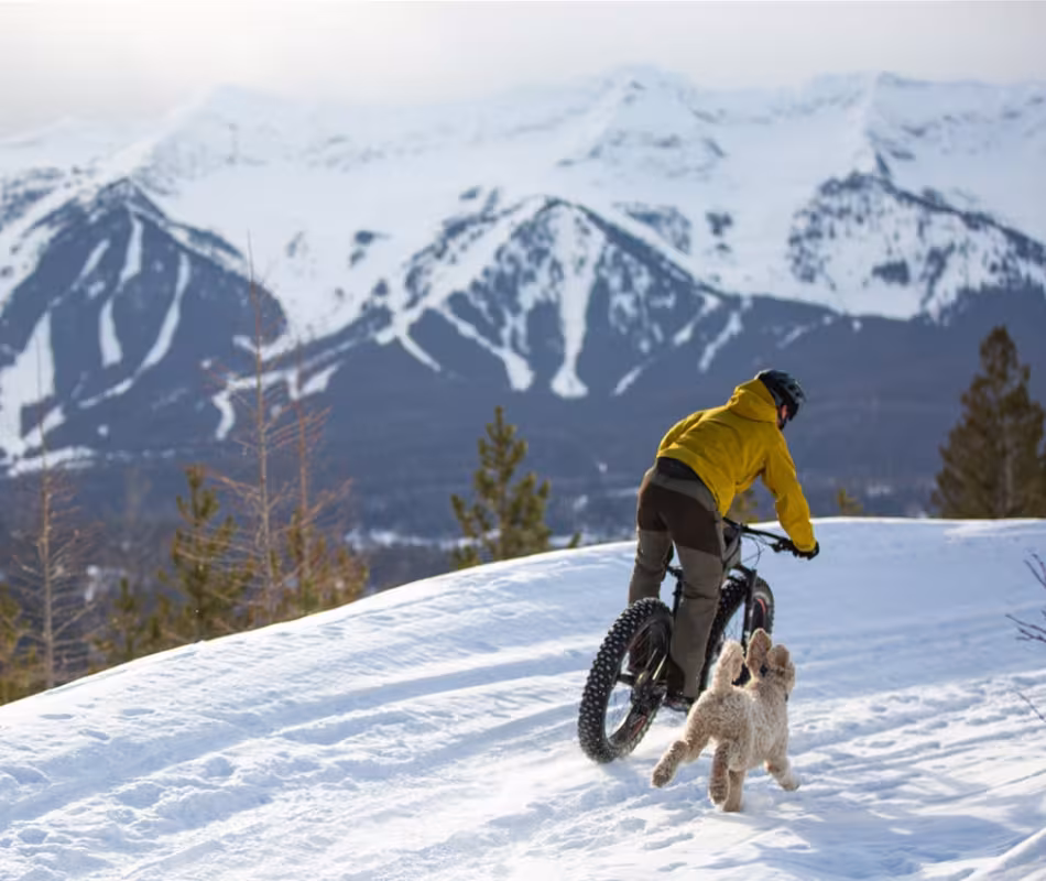 Winter Activities in Fernie for non skiers