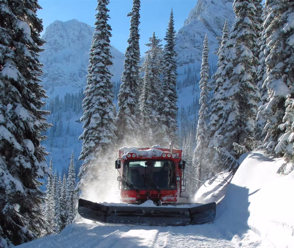 Mountains, Cats & Powder Skiing