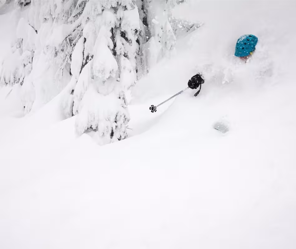 Experiencing the Fernie Factor