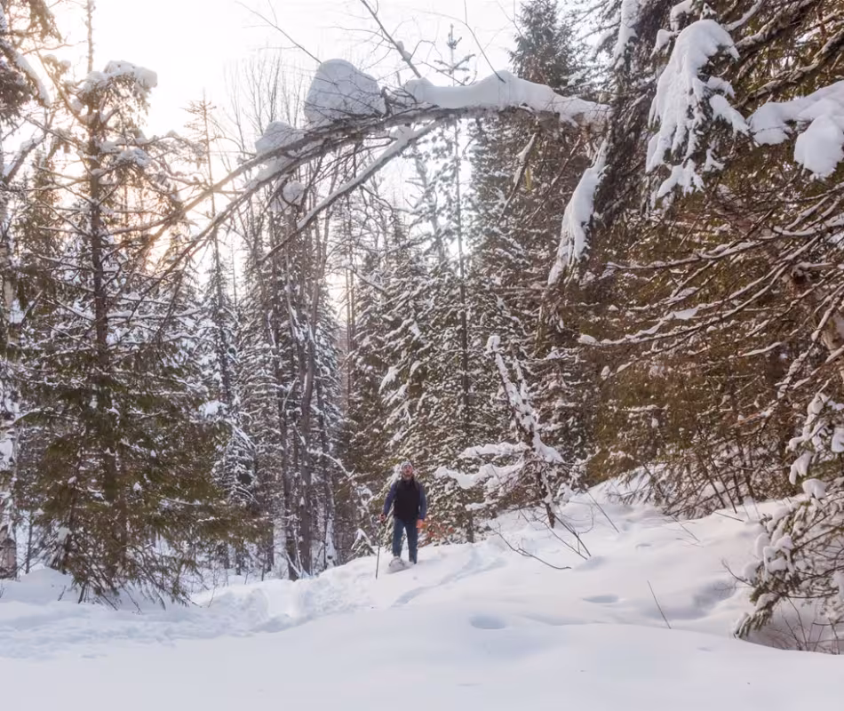Best Free Things To Do In Fernie This Winter