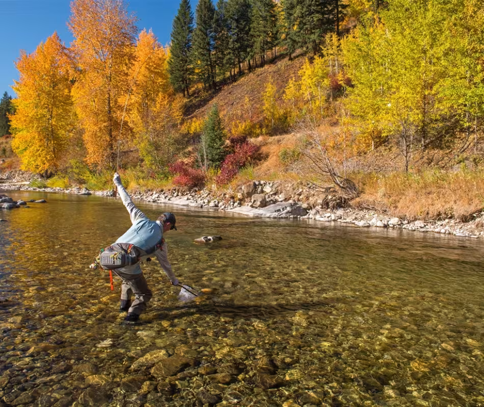 Fall Fly Fishing in Fernie