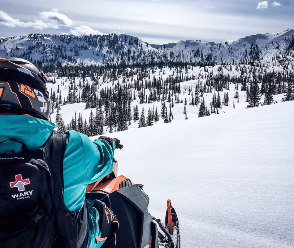 Image for Snowmobiling