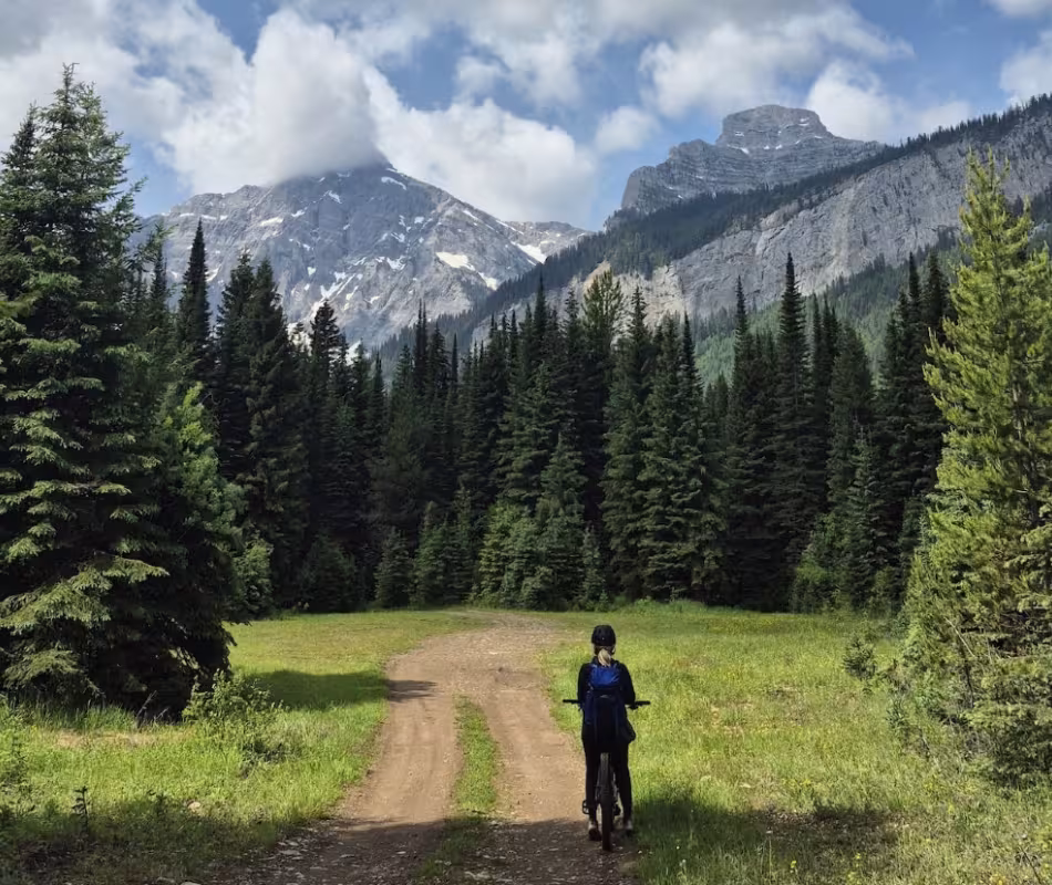 Fernie & Elk Valley Trails Master Plan - Next Steps