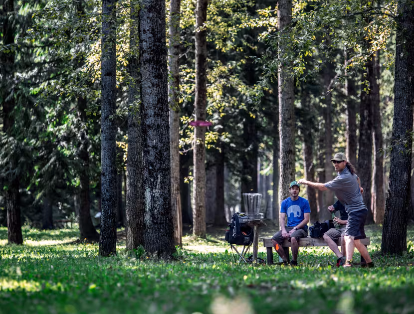 People playing frisbee in a wooded area with trees and grass.